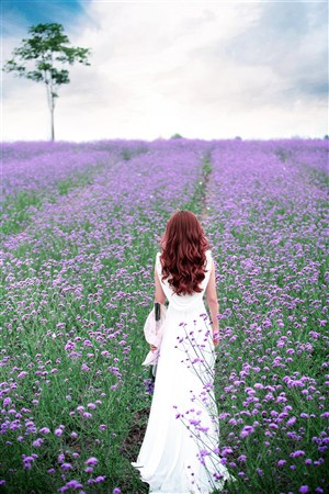 少女たちよ在线观看播放电视剧